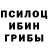 Галлюциногенные грибы мухоморы georgesyves9
